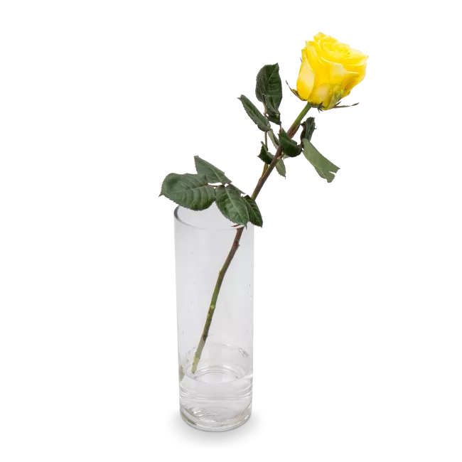 Bouquet of pink and yellow roses